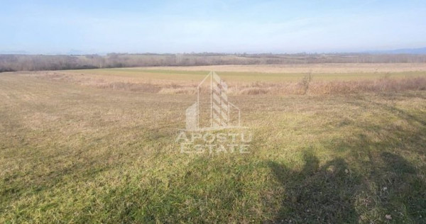 Teren mixt de 10.000 mp, ideal pentru investitie, Barsa