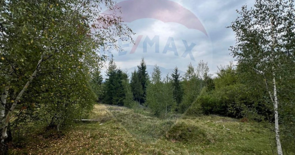 Teren extravilan parcelabil Călățele Pădure, zona Dea...
