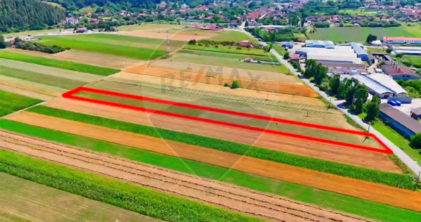 TEREN extravilan CU PLANTATIE DE TRANDAFIRI DE DAMASC! Teliu 7000 mp!