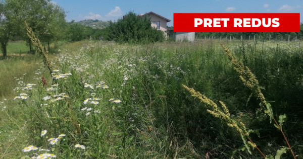 Teren intravilan, Tintea, 500 mp, neimprejmuit