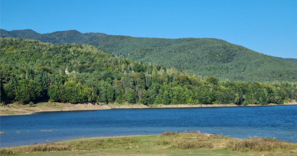Teren Lac Poiana Uzului
