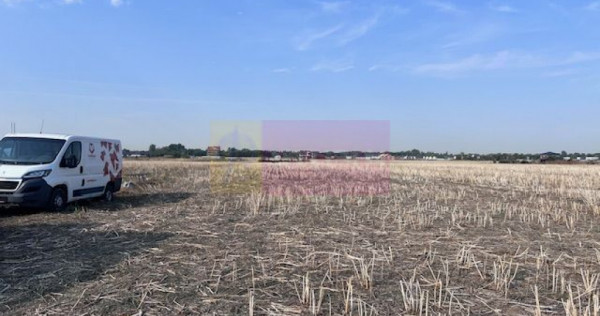 Teren Domnesti strada Ciocarliei.