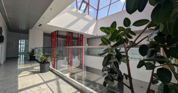 Spatiu 30AVENUE, asigurări, consultanta , servicii, cabine