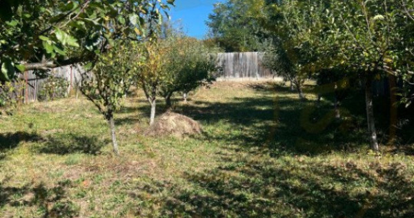 Teren 1128 intravilan constructii Darmanesti Arges