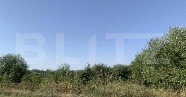 Teren intravilan 7200 mp Ardud