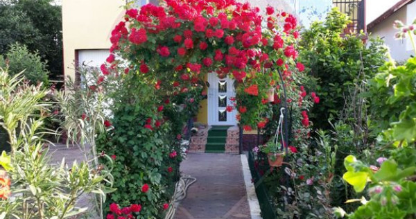 Casă / Vilă in Teis, Bals