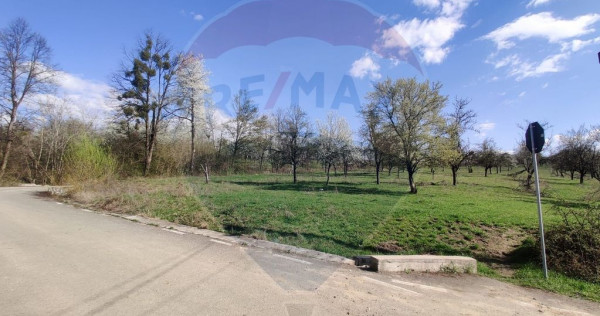 Teren intravilan pentru casă Cărbunari