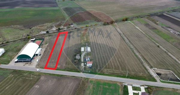 Teren 1,800mp Mircestii Vechi / DJ 204E