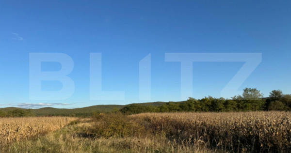 Teren extrvilan 1400mp in Branisca