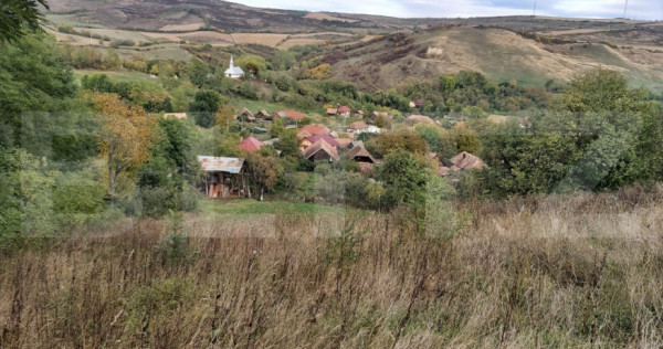 Casa de vanzare, 3 camere, 4663 mp teren, CF, Sat Barai