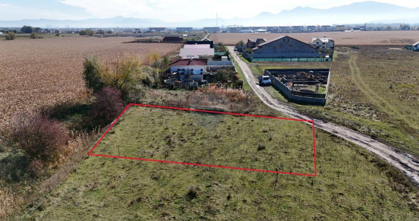 Comision 0% | Teren intravilan 600 mp | SANPETRU