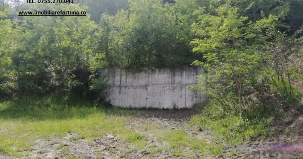 Teren 2000 mp, str.Nicu Albu, cadru natural superb