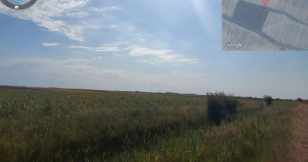 Cota de 1/4 din teren loc. Amarastii de Jos, Jud Dolj