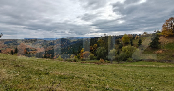 Teren spectaculos, ideal pentru cabana, parcelabil, cu utili