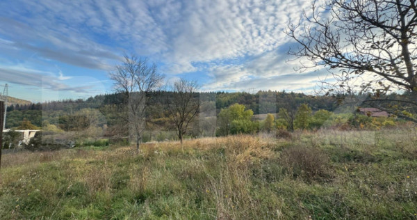 Teren intravilan, 1466mp in comuna Bejan