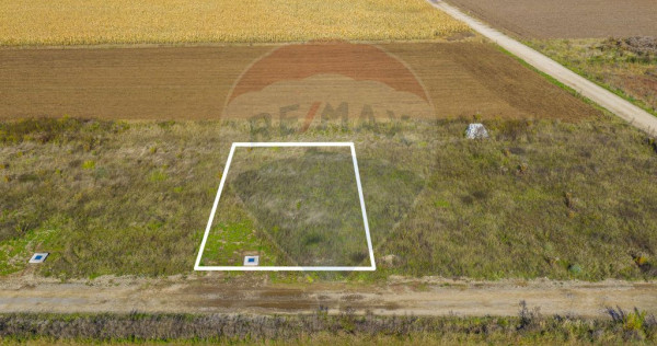 0% Comision | Teren 650 mp | Sacele, Str. Venus | Curent ...