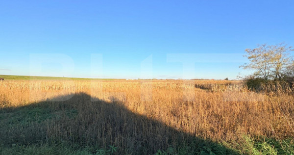 Teren intravilan 1.130 mp ,in Vetis