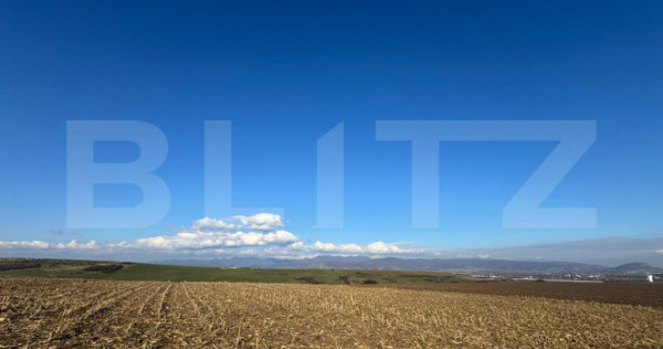 Teren extravilan agricol 5700 mp, Cristur