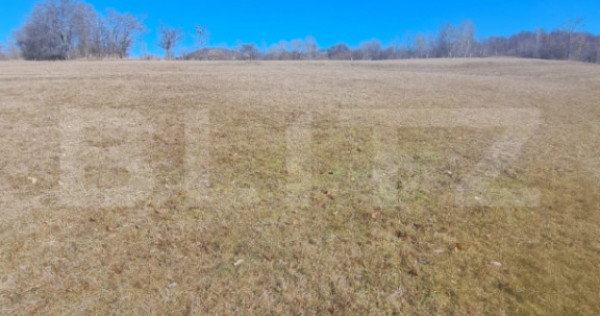 Teren intravilan, perfect pentru casa de vacanta, 5000 mp, A