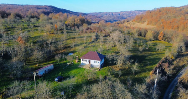 Casa traditionala cu teren 8.945 mp de vanzare | Franceni...