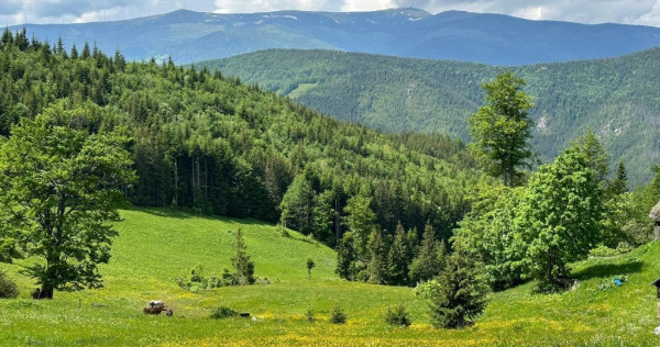 Terenuri extravilane – Cozieni, jud. Buzău 70000mp