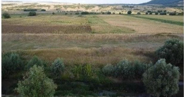 Teren Extravilan Banca, ID: R2805492