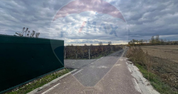Teren intravilan 2727mp Carligele / Strada Tulceanu
