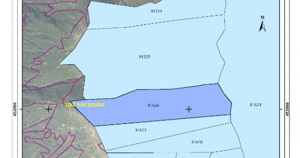 Teren Pasune alpina 22,5ha in comuna Nucsoara, Arges