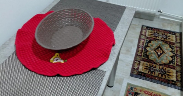 Baba novac dristor ion tuculescu