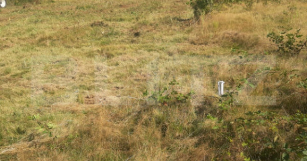 Teren extravilan 2900 mp, Cârțișoara- Sub Mal