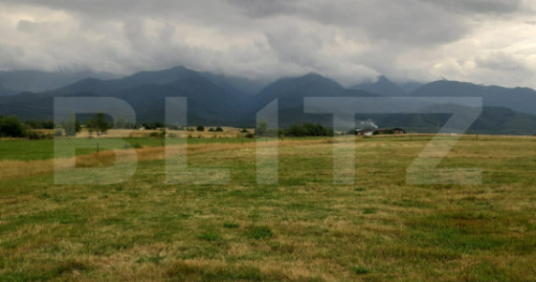 Teren extravilan 900 mp, Cârțișoara- Sindri