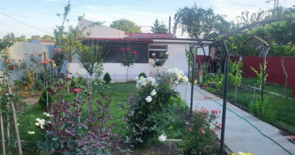 Casă + Hală Industrială + 1000 mp Teren in zona CET, Cons