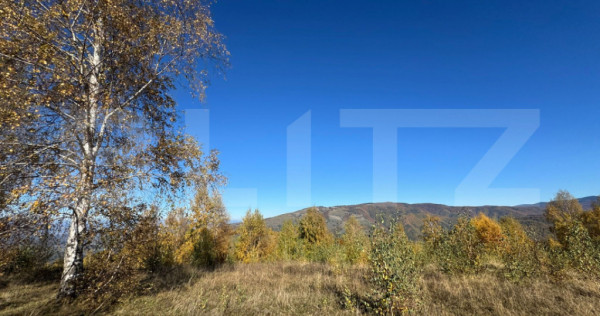 Teren extravilan de 17.183 mp in Târsa