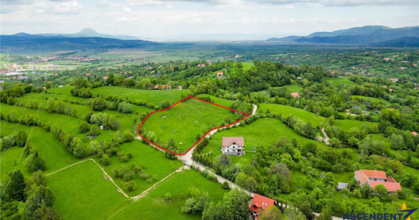 Film! Domeniu pe 11.000mp intravilan, panorama montana,Bran,