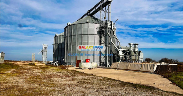 Siloz cu 3000tone capacitate( 3000t pista) | 2ha teren
