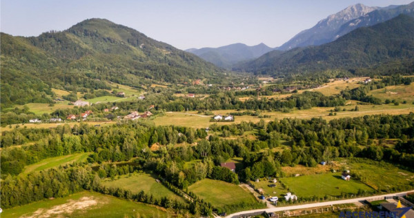FILM! Oaza paradisiaca cu lac, vedere catre Bucegi, Glajerie