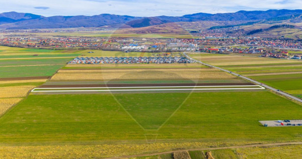 Teren 10,000mp Tarlungeni