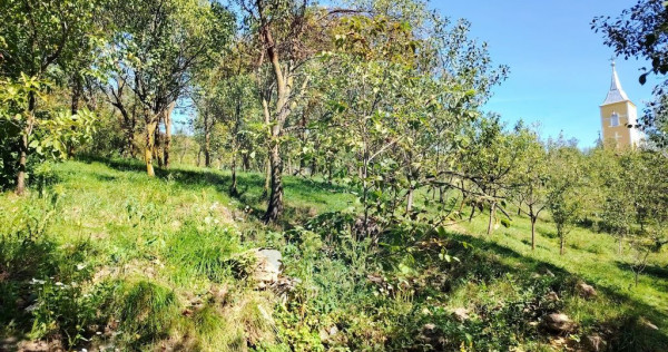 COMISION ZERO Teren de vanzare (30 AR) + casa veche din lemn