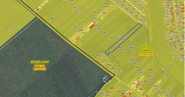 FRUMUSANI-ORASTI, LOT 7630 MP!