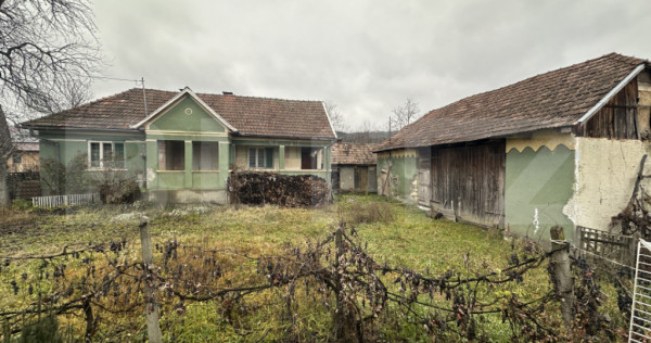 Teren 3000 mp + 2 case de vânzare-Cășeiu