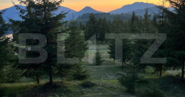 Teren extravilan cu priveliste - Tihuta Cota 1.201