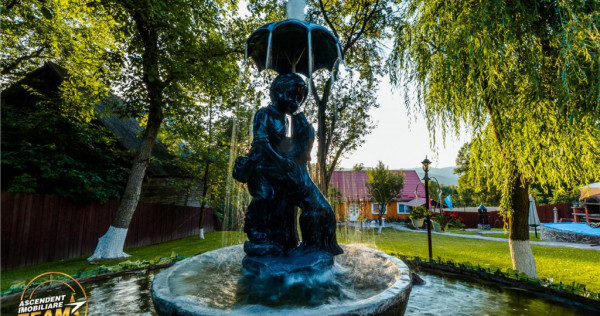 Ansamblu cu 2 case,piscina,1.700 mp domeniu verde,Lutoasa,Me