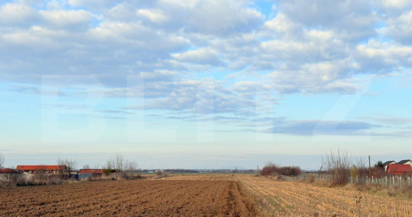 Teren de vanzare, 52 de ari, zona Odoreului