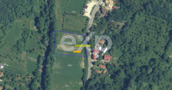 Teren intravilan la tara in Arges - 3.565 mp in comuna Boten