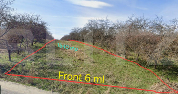 Teren extravilan, 1540 mp - zona Balta Feleacu