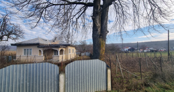 Casă + teren 2600 mp- Com. Negri- scop rezidențial sau ind