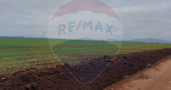 Comision 0 %! Teren extravilan, 21,175 mp Hărman