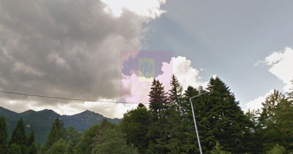 Teren extravilan in Sinaia (25 euro/mp)