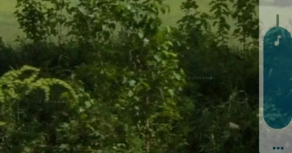 Teren 6500m2 Oncesti, Bacau