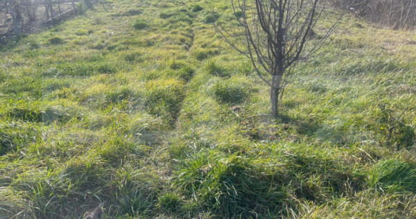 Teren Intravilan, zona linistita, Livada Meses
